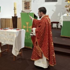 Image7