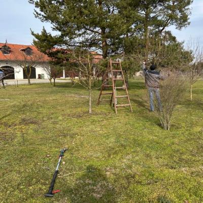 Radna Akcija Farof 2025 3